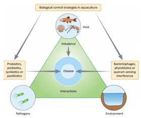 论文解读 水产养殖疾病生物防控技术 优势 不足及挑战