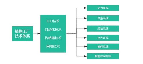 植物工厂发展势头迅猛 能耗降低是难点,应用拓展很关键