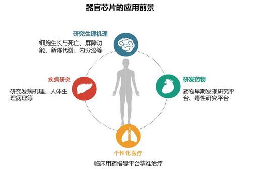 前沿的生物芯片技术是生物医药的利器