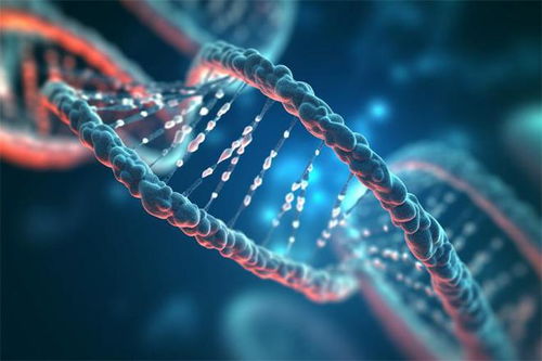 抢占未来产业发展机遇 北京农业食品合成生物创新中心启动建设 致力于打造北京市合成生物标杆孵化器
