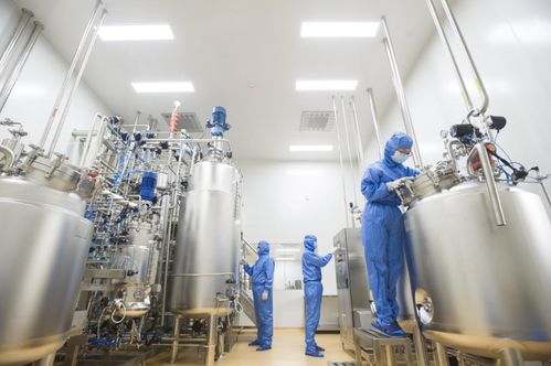 集聚资源 创新引领 体系推进 解码四张 国家名片 的重庆国际生物城发展之路 华龙网
