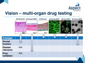 aspect biosystem公司获种子资金将研发新型生物3d打印技术