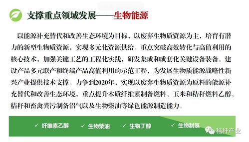 专题丨 十三五 生物技术创新专项规划关注秸秆生物能源技术